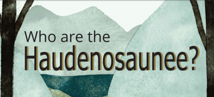 A rectangular image with a stylized background of mountains and two tree trunks in the background the title of the resource is written between the two trees, and it reads "Who are the Haudenosaunee."